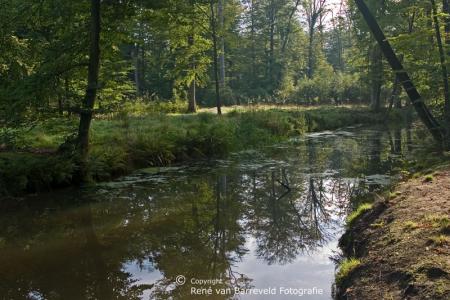 Beekje Landgoed Twickel