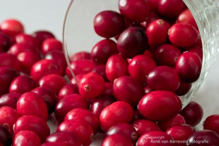 Cranberry's