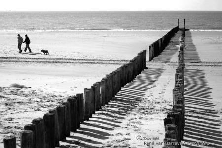 Rijen palen op strand